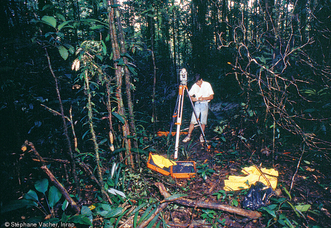 Topographe effectuant des relevés sur un site en forêt bordant la rivière de Courcibo, dans la région du bassin du Sinnamary (Guyane), dans le cadre de l'opération de  Petit Saut . Cette opération s'est déroulée entre 1991 et 1996.    