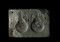 Ce moule en schiste du XVe s. servait à la réalisation de deux enseignes de pèlerin à l'effigie de Saint Michel. Mont-Saint-Michel (Manche), 2007.  La tête de l'archange est placée au-dessus d'une coquille Saint Jacques, frappée d'un blason en écu. Le premier est orné d'une Vierge à l'enfant, le second de trois fleurs de lys. 