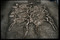 Fosse datée du Ier siècle avant notre ère, dans laquelle les squelettes de huit chevaux et de huit hommes ont été retrouvés, fouillée en février 2002 au pied de l'oppidum de Gondole sur la commune de Cendre (Auvergne).  Sur cette photo, les dépouilles des cavaliers ont été déjà prélevées.    