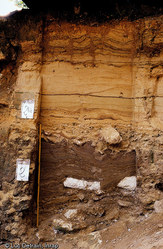 Coupe stratigraphique présentée au musée national de Préhistoire des Eyzies de Tayac (Dordogne).  Une séquence stratigraphique permet de mettre en évidence les couches successives qui se sont accumulées dans le temps et leur mécanique de dépôt permettant ainsi à l'archéologue de formuler une interprétation de l'évolution d'un espace et d'un paléosol. 