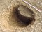 Détail d'un gros trou de poteau du bâtiment 1 daté du Néolithique final (entre entre 2800 et 2500 avant notre ère) découvert à Saint-André-sur-Orne (Calvaldos).  Le  fantôme  du poteau a été laissé en place, suggérant l'emploi de troncs refendus de plus d'un mètre de diamètre. 