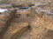 Sols en terre battue d’une maison de la fin du 14e siècle découverte à Orchies (Nord), 2013. Les tranchées ont livré les restes de deux ou trois bâtiments aux sols de terre battue et aux murs sur solins de grès ou sablières basses en bois.