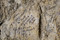 Inscription du soldat australien de la Grande Guerre Thomas Oliver Urquhart retrouvée dans la grotte souterraine de Naours (Somme).  T(homas) O(liver) Urquhart 14e bataillon état de Victoria Australie le 19 juillet 1916.   Ce soldat sera promu caporal, puis sergent entre le mois de mai et de septembre 1916.