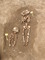 Dégagement de squelettes d'un nouveau né et d'un adolescent du cimetière protestant du début de l'Époque moderne, sur site de la Visitation au Mans (Sarthe), 2016.