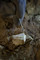 Grattoir en silex daté de l'aurignacien ancien découvert dans la grotte préhistorique du Mas-d'Azil (Ariège), 2015. 