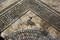 Représentation d'un canard dans l'angle du décor central du pavement mosaïqué du Ier siècle avant notre ère découvert à Uzès (Gard), 2017.