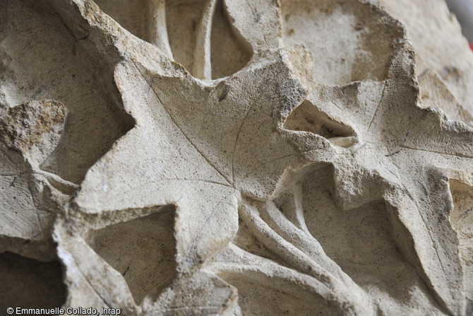 Détail d'un décor floral sur une pierre sculptée médiévale de la cathédrale du Mans (Sarthe)