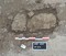 Coffrage formé de dalles de calcaire d'une sépulture du cimetière d'enfants de l'âge du Fer à Jort (Calvados)