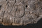  Vue de détail de la partie inférieure de la dalle de Saint-Bélec, découverte à Leuhan (Finistère). Forme patatoïde recoupée par des lignes verticales et ponctuée de petites cupules. Elle pourrait correspondre à une enceinte ou à un élément du relief. 