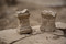 Autels miniatures découverts dans une domus, dont l’un est dédié aux Proxumes (déesses gauloises), à Nîmes (Gard) en 2021.  De riches vestiges d’un quartier urbain mis en place dès la Protohistoire (au IVᵉ siècle avant notre ère) et évoluant jusqu’à la fin du IIe siècle de notre ère ont été mis au jour de part et d'autres d'une voie.