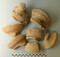 Fragments d'amphores massaliètes (IVe siècle av. notre ère) caractérisées par la présence de mica dans leur pâte. Fragments découverts dans une fosse à Marseille (Bouches-du-Rhône) en 2021, qui était utilisée pour rejeter des résidus d'un atelier de potier qui devait se situer à proximité. 