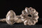 Pendentif en forme d'oeuf et perle taillée, en cristal de roche, mis au jour dans la nécropole antique de Narbonne (Aude) en 2019