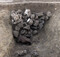 Fossé de Bronze ancien comblé de blocs de pierre, qui recouvrent le squelette presque complet d'une vache, découvert à Saint-Geniès-de-Fontedit (Hérault) en 2022. Ces blocs de pierre pourraient témoigner de l'existence de puissants remparts. 