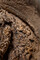 Détail des résidus de fleurs dans le sarcophage du cavalier mis au jour dans le transept de Notre-Dame de Paris. Ces résidus ont été analysés à l'institut médico-légal du CHU de Toulouse. Il s'agit des restes de feuilles et de fleurs, au niveau du crâne, ayant composés une couronne mortuaire.