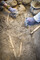 Une sépulture protohistorique en cours de fouille au camp Sarlier à Aubagne (Bouches-du-Rhône). Elle date probablement de la fin de l'âge du Bronze et du début de l'âge du Fer.
