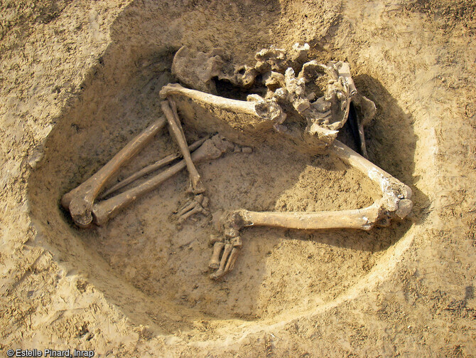 Homme inhumé en position assise dans la fosse 687 du sanctuaire gaulois de Saint-Just-en-Chaussée (Oise).