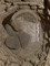 Fragments de meule (meta : partie fixe de la meule) d’un moulin à sang dans le comblement du puits, découvert à Béziers (Hérault), 2022. 