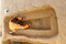 Collier de perles en cours de dégagement dans une des tombes de la nécropole gallo-romaine (entre le IVe siècle et le Ve siècle de notre ère) de La Chapelle-des-Fougeretz (Ille-et-Vilaine)