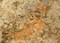 Détail de l'imprégnation du colorant ferrugineux d'un galet découvert à Louviers (Eure), en 2023. Des vestiges du Paléolithique y ont été mis au jour.
