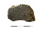 Fragment de panse d'une céramique attribuée à l'âge du Fer et découvert dans une des fosses protohistoriques du site.