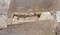 Sarcophage monolithe trapézoïdal en trachyte d'époque carolingienne découvert dans l'ancienne église Saint-Genès à Clermont-Ferrand (Puy-de-Dôme). Le trachyte est une roche volcanique dont les carrières se trouvent non loin, dans la Chaîne des Puys, et qui constitue un exemplaire unique sur le site. Son couvercle en calcaire gréseux ainsi que son insertion stratigraphique suggèrent un remploi à une époque récente.