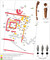 Évolution du temple du sanctuaire d'Estrées-Saint-Denis (Oise), 2014. Du temple en bois (50-30 av. J.-C. - entre 27 av. J.-C. et 68 apr. J.-C.) vers le temple maçonné, appelé fanum (1er s. apr. J.-C., désaffecté durant la première moitié du 3e s.). En haut à droite : fragment d'orle de bouclier découvert dans St 126 et talon de lance découvert dans le temenos ; en bas à droite : petits objets indéterminés en forme de noyau d'olive découverts dans St.437 et 445. 
