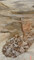 Reste du four mis au jour en 2020 à Beaupréau-en-Mauges (Maine-et-Loire) sur le site de l'atelier de tuileries médiévales, datant probablement du XIIe siècle. Ce four n'a été découvert que démantelé et rejeté dans la fosse d'extraction principale. Sa base était construite en gros blocs de quartzites et en tuiles creuses, tandis que sa voûte était armée avec des files juxtaposées de pots emboités. 