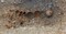 Sépulture d'un enfant entre 1 et 6 ans inhumé dans un cercueil cloué avec des dépôts de neufs vases en céramique, deux monnaies, une fibule, un bracelet et un dépôt alimentaire de coq domestique. Mis au jour dans l'ensemble funéraire antique de Saint-Vulbas (Ain)
