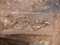 Un périnatal inhumé dans un coffrage constitué d'imbrices découvert dans l'ensemble funéraire antique de Saint-Vulbas (Ain). Concernant le cas des tout-petits, si l'emploi de cercueil reste majoritaire, une particularité est à noter à la fin du 1er siècle avec l'apparition des coffrages composés de deux imbrices (tuiles rondes) superposées. 