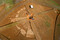 Vue aérienne du tumulus en cours de fouille à Vix (Côte-d'Or) en 2019. Au centre la célèbre tombe princière apparait à nouveau, 66 ans après sa découverte et sa première fouille en 1953. Bien que décapée, la moitié droite du tumulus n'a pas encore été fouillée. 