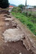 A la fin du XIXe s, une première scierie est construite sur le site de Châtenois (Bas-Rhin), accolé au gouttereau est du moulin.Au XXe s., le mur de berge initial est recouvert par un niveau de béton. L’absence d’arasement de cette maçonnerie indique qu’elle est conservée à sa hauteur d’origine.