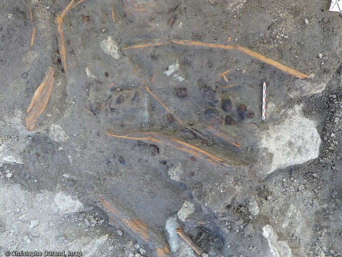 Vue d'une partie des bois en cours de fouille dans un paléochenal sur le site de la Carella à Font-Romeu-Odeillo-Via (Pyrénées Orientales). La présence de gros tessons décorés, de la transition âge du Bronze/âge du Fer, permet d'envisager une datation. Mais c'est surtout grâce à la dendrochronologie qu'offre la possibilité de dater très finement les restes des bois, et en travaillant sur la saisonnalité des cônes. Par ailleurs ces éléments ouvrent une fenêtre sur la composition du paysage à la Protohistoire sur de versant de la commune. 