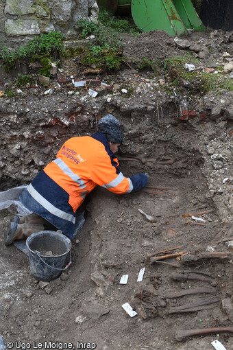 La fouille des sépultures sur le site de l'église Saint-Pierre-du-Châtel à Rouen (Seine-Maritime). De nombreux niveaux sépulcraux ont été perturbés au XXe siècle et une épaisse couche d'ossements isolés se trouve immédiatement sous le sol actuel.