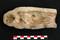 Moule de figurine (représentant une Vénus) datée du tournant du IIe et du IIIe s. de notre ère et qui provient d'un atelier de potier attribué au coroplathe Pistillus, Autun (Saône-et-Loire), 2010. 