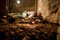 Dégagement des ossements. Fouille dans la catacombe des saints Pierre et Marcellin (IIIe-IVe s.), Rome, 2008.  Entre 2005 et 2008, un programme de fouilles a été engagé permettant la mise au jour d'un nombre considérable d'ossements humains dans un secteur encore inexploré de la catacombe, ici la tombe X8. 
