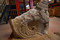Fragment de bloc de frise à motif de triton issu du mausolée gallo-romain, Ier s. de notre ère. Fouille du site de la Cougourlude à Lattes (Hérault), 2010. 