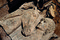 Bas-relief du pavillon soviétique présenté à Paris en 1937 à l'occasion de l'exposition internationale des Arts et Techniques de la Vie moderne, glacière du château de Baillet-en-France (Val-d'Oise), 2009.  Les bas-reliefs du pavillon représentent les allégories des onze républiques soviétiques. 