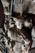 Bas-relief du pavillon soviétique présenté à Paris en 1937 à l'occasion de l'exposition internationale des Arts et Techniques de la Vie moderne, glacière du château de Baillet-en-France (Val-d'Oise), 2009.  Œuvres de Joseph Tchaïkov, ces reliefs représentent fileuses, tankistes, musiciens, enfants… 