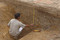 Un archéologue relève une coupe stratigraphique du fossé de l'enceinte.