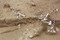 Amas de débitage en cours de fouille provenant d'un gisement du Paléolithique supérieur ancien, ZAC Renancourt, Amiens (Picardie), 2011.  Une importante industrie lithique a été mise en évidence, tournée vers la production de lames. 