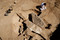Relevé stratigraphique des menhirs abattus de Champagne-sur-Oise (Val-d'Oise), Ve-IVe millénaire avant notre ère, 2011.  Bien que le matériel trouvé dans la fosse abritant les orthostates ne donne pas d'informations sur la période d'abattage des blocs, des parallèles dans d'autres régions (Belz, Locmariaquer) permettent de penser qu'ils ont été abattus au Néolithique récent. 