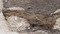 Vue de détail d'une coupe stratigraphique réalisée dans un silo daté de la première moitié du IIIe s. avant notre ère, Épieds-en-Beauce (Loiret), 2011.  La coupe montre les effondrements calcaires et surtout l'alternance entre les couches de rejets de foyer (céramique, faune...) et celles de cendre. 