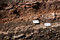 Détail des couches stratigraphiques constituées des déchets de grès de taille, XIIe-XVe s., cathédrale de Strasbourg (Bas-Rhin), 2012.  Chaque couche est numérotée et fait l'objet d'une description minutieuse. 