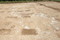 Alignements de fosses rectangulaires interprétées comme les traces de vignes gallo-romaines, Ier s. de notre ère, Gevrey-Chambertin (Côtes-d'Or), 2008.  A l'intérieur des fosses, en coupe, les vides laissés par les troncs et les racines de petits arbustes ont pu être observés. 