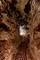 Un des couloirs du souterrain médiéval découvert à Sublaines (Indre-et-Loire), 2012.Le souterrain présente des dimensions étroites : large de 0,5 m en moyenne, sa hauteur oscille entre 1,15 et 1,55 m.    