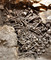 Ossuaire médiéval (fin du Moyen-Âge) découvert dans la crypte de la basilique Notre-Dame de Boulogne-sur-Mer (Pas-de-Calais), 2012.Le cimetière paroissial de la basilique Notre-Dame de Boulogne-sur-Mer était particulièrement exigu. Il était nécessaire de « réduire » régulièrement les tombes pour faire place aux nouvelles inhumations. Les ossements étaient prélevés et rassemblés dans de grandes fosses ossuaires. 