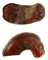 Perle d'ambre découverte sur le site aristocratique de Bassing (Moselle) en 2010.D'autres bijoux, comme des bracelets en pâte de verre bleu de cobalt, témoignent de la richesse de l'établissement. 