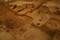 Bâtiment médiéval à ossature de bois protégeant une fosse-silo, Décines (Rhône), 2011.Le site est mis en culture tout au long du Moyen Âge. Des outils utilisés pour les travaux des champs ont été exhumés : houe, serpette, faucille...