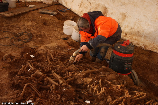 Fouille fine des ossements qui, bien que brûlés, sont dans un bon état de conservation découverts à Buchères (Aube), 2012.