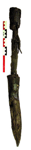 Piquet de bois découvert en position verticale dans le fossé défensif au nord de la collégiale, Saint-Junien (Haute-Vienne), 2009.Une série de pièces de bois a été conservée dans les remplissages humides du fossé ce qui permettra sa datation par dendrochronologie.